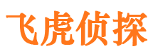 岳西侦探公司